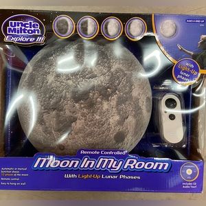 Moon in my Room wall light ornament